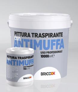 Pittura antimuffa